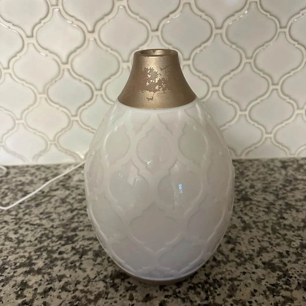 Young Living Desert Mist Diffuser